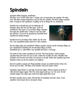 bild11