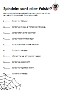 bild12